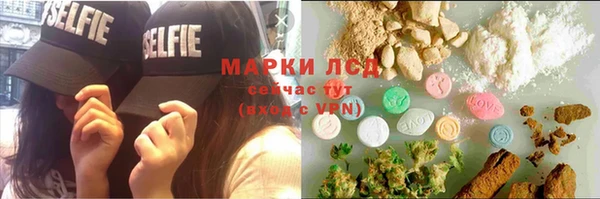 ПСИЛОЦИБИНОВЫЕ ГРИБЫ Алексеевка