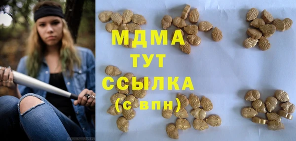 мдпв Алексин