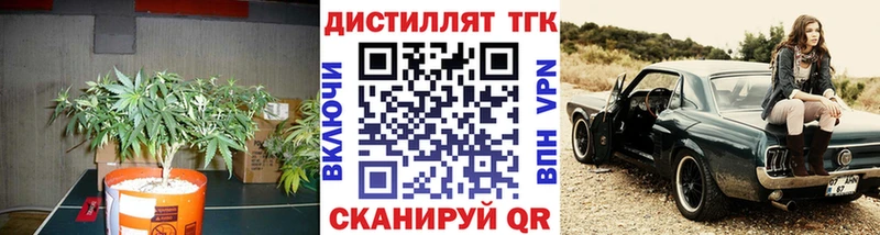 Дистиллят ТГК концентрат  Северская 